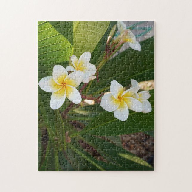 Puzzle Flores fragantes de Frangipani (Vertical)