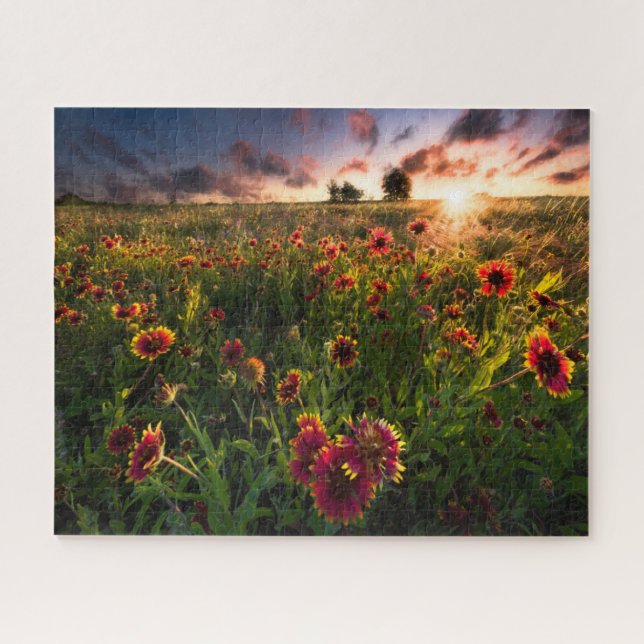 Puzzle Flores | Indio Blanket Wildflower Texas (Horizontal)