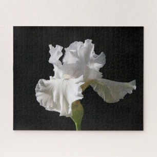 Puzzle Flores   Iris blanco