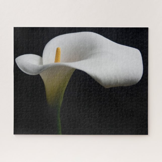 Puzzle Flores | Lirio de Calla Blanca (Horizontal)