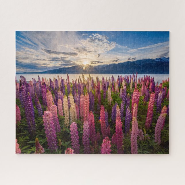 Puzzle Flores | Lupines New Zealand (Horizontal)