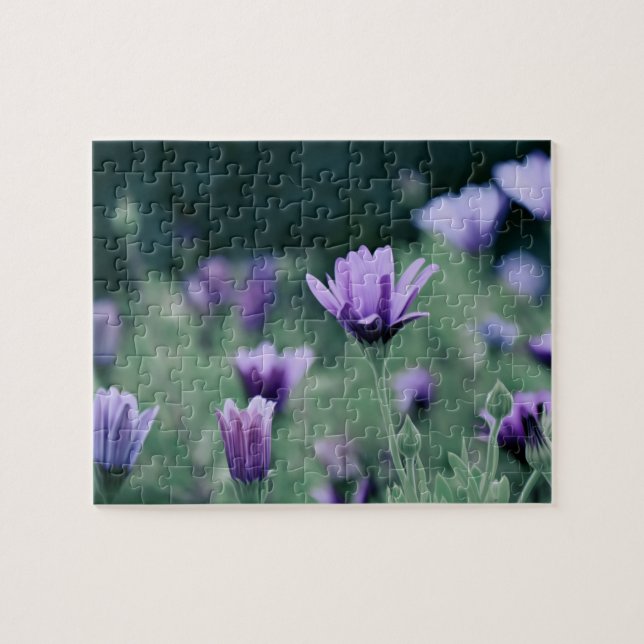 Puzzle Flores moradas de lavanda (Horizontal)