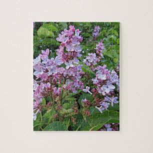 Puzzle Flores moradas delicadas de un arbusto de lilas