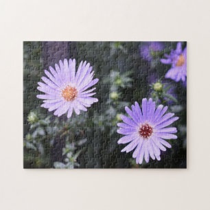 Puzzle Flores moradas Verano naturaleza fotografía floral