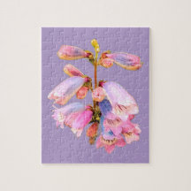 Flores moradas y rosas