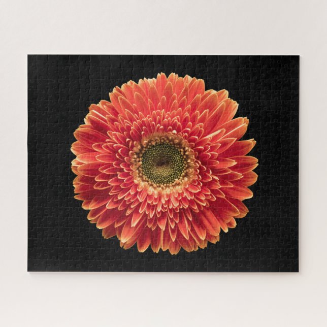 Puzzle Flores | Naranja Gerbera Daisy (Horizontal)