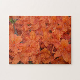 Puzzle Flores naranjas
