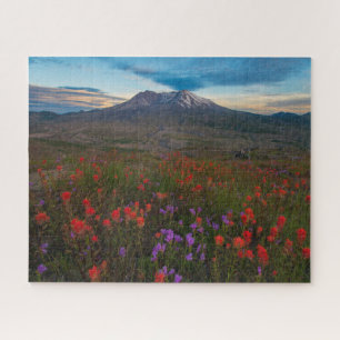 Puzzle Flores   Pincel indio y penstemon