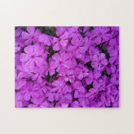 Puzzle Flores púrpura de aflox