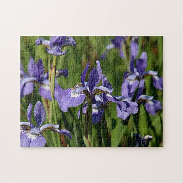 Puzzle Flores púrpuras del iris (Horizontal)