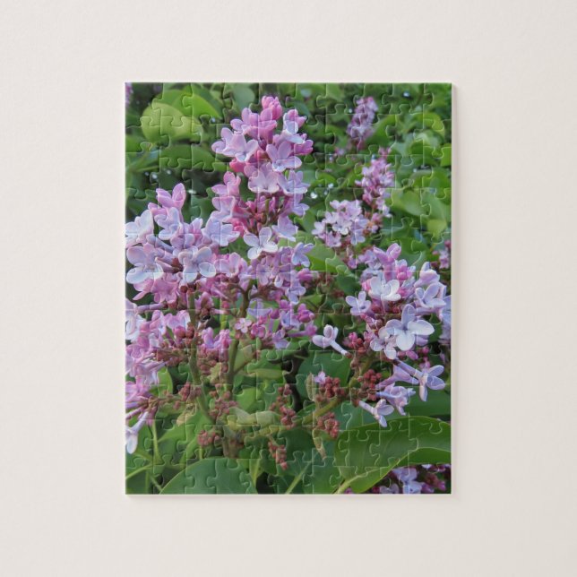 Puzzle Flores púrpuras delicadas de un arbusto de lila (Vertical)