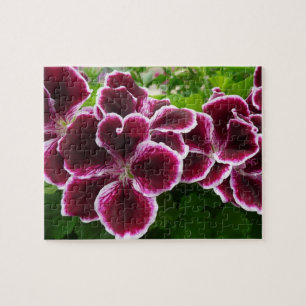 Puzzle Flores Regal Geranium Elegante Maroon Floral Lugga
