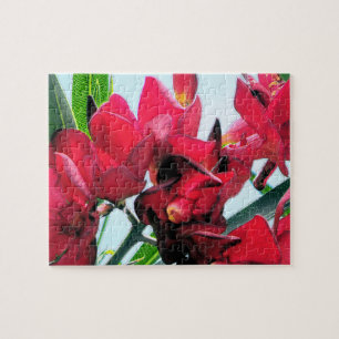 Puzzle Flores rojas
