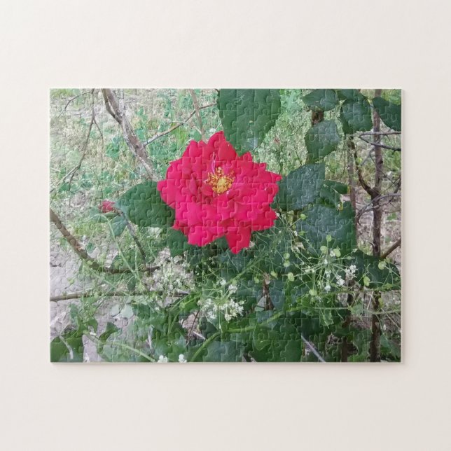 Puzzle Flores rojas blancas (Horizontal)