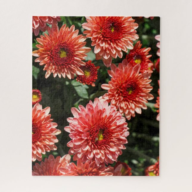 Puzzle Flores rojas de crisantemo (Vertical)