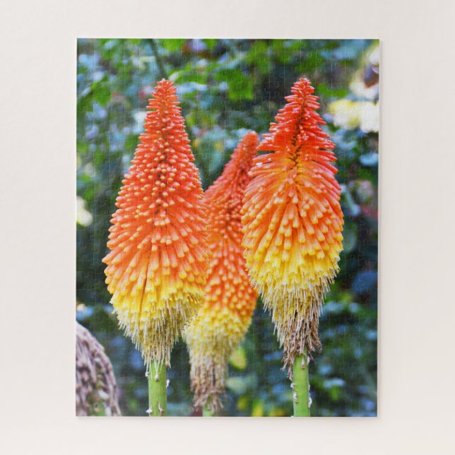 Puzzle Flores rojas de póquer caliente (Vertical)