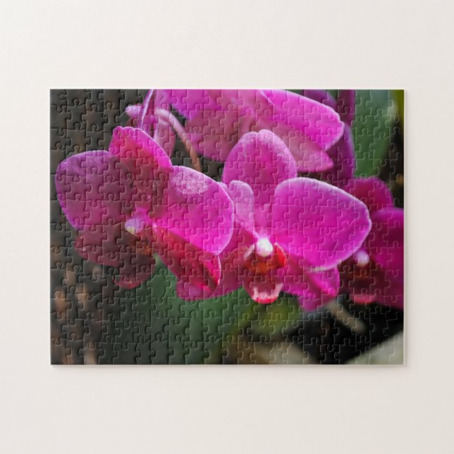 Puzzle Flores rosas (Horizontal)