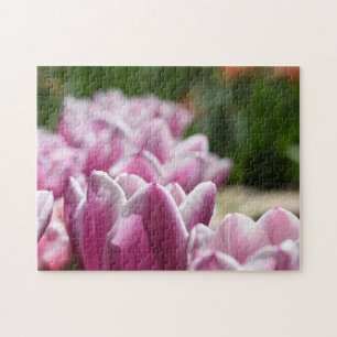 Puzzle Flores rosas, fotografía de la naturaleza del jard