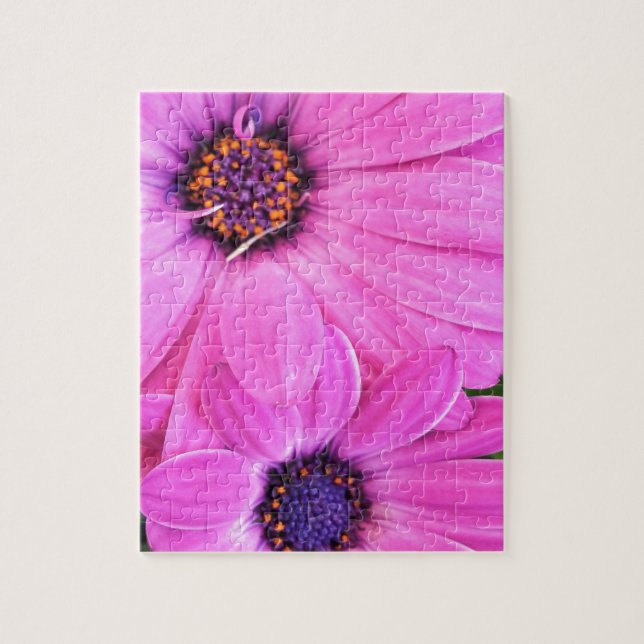 Puzzle Flores rosas Gerbera Daisy Floral (Vertical)