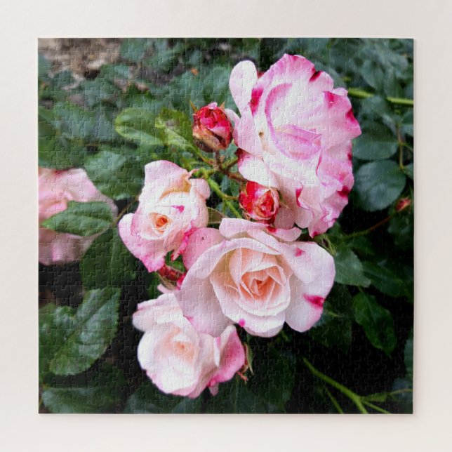 Puzzle Flores rosas, rosas rojas blancas rosadas (Vertical)