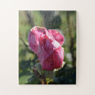 Puzzle Flores rosas, rosas rojas blancas rosadas