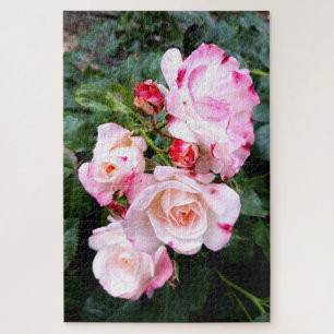 Puzzle Flores rosas, rosas rojas blancas rosadas