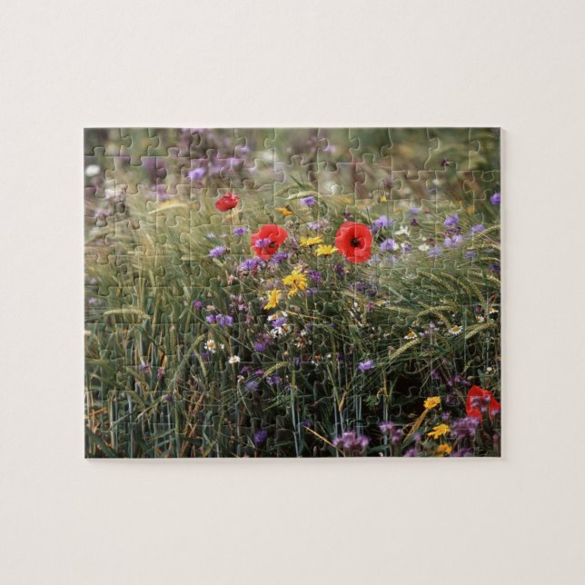 Puzzle Flores silvestres (Horizontal)