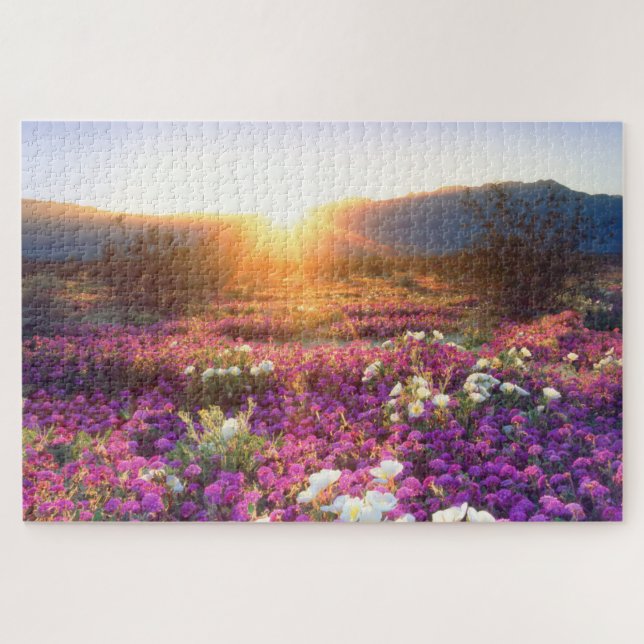 Puzzle Flores silvestres al atardecer | Desierto de Anza- (Horizontal)