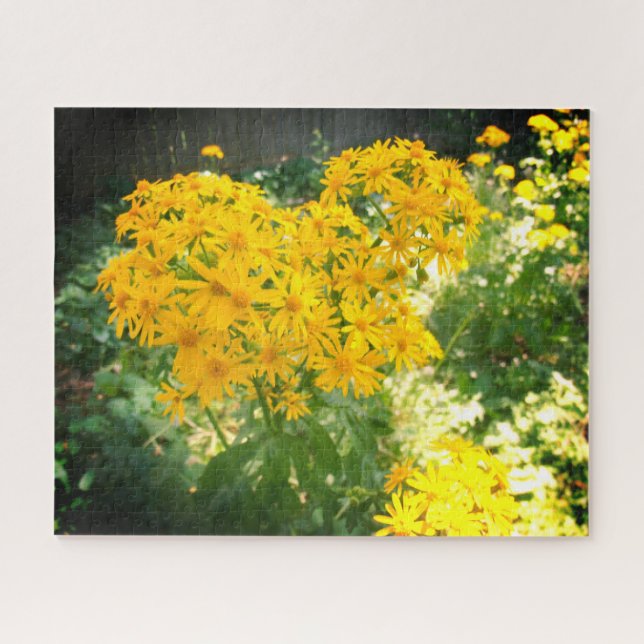 Puzzle Flores silvestres amarillas (Horizontal)