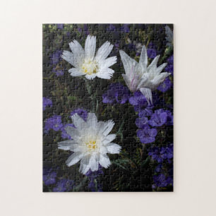 Puzzle Flores silvestres de achicoria y facelia