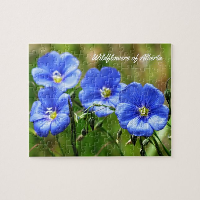 Puzzle Flores silvestres de Alberta, Canadá - Rompecabeza (Horizontal)
