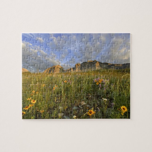 Puzzle Flores silvestres de la pradera en Many Glacier Va (Horizontal)