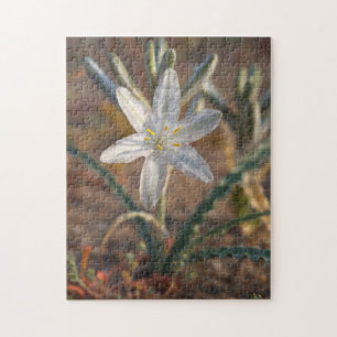 Puzzle Flores silvestres de lirio del desierto