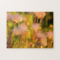 Flores silvestres de Prairie Smoke en Aspen Grove