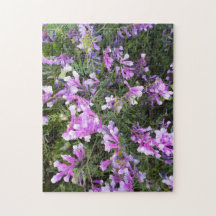 Flores silvestres de primavera en tonos púrpura