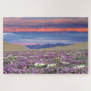 Puzzle Flores silvestres de Sand Verbena y Dune Primrose