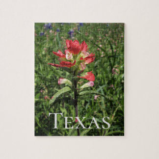 Puzzle Flores silvestres de Texas