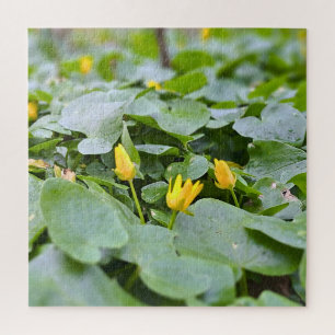 Puzzle Flores Silvestres del Bosque – Fotografía Botánica