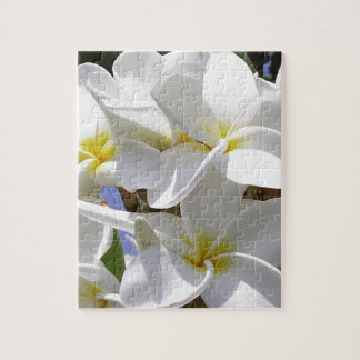 Puzzle Flores tropicales de plumeria
