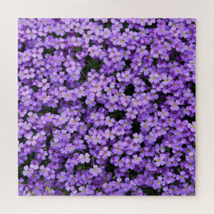 Puzzle Flores - Violetas
