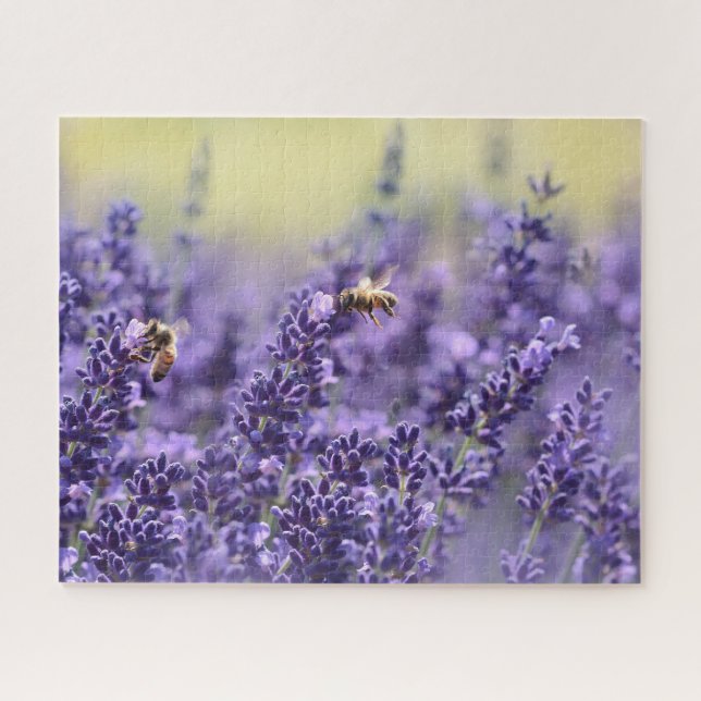Puzzle Flores y abejas de lavanda (Horizontal)