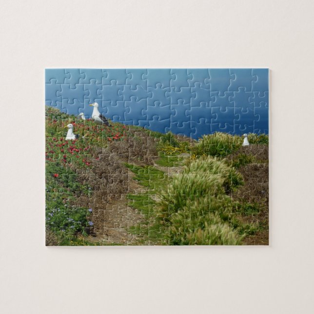 Puzzle Flores y gaviotas en la isla Anacapa (Horizontal)