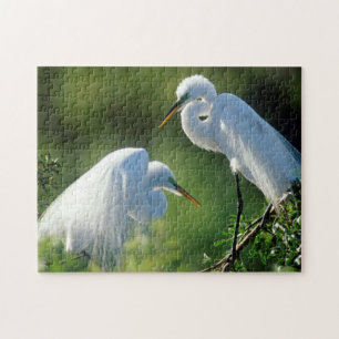 Puzzle Florida, Venecia, Santuario Audubon, Garza Blanca