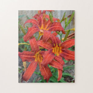 Puzzle Flower Garden Red Daylillillis Green Leaves Photo