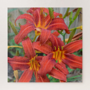 Puzzle Flower Garden Red Daylillillis Green Leaves Photo