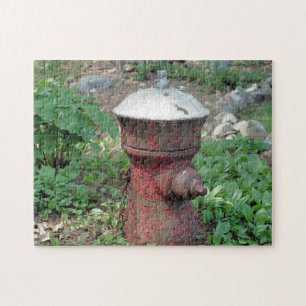 Puzzle Flower Garden Rusty Fire Hydrant