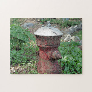 Puzzle Flower Garden Rusty Fire Hydrant 