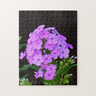 Puzzle Flox 'La Lavanda de David'