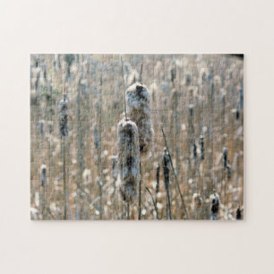 Puzzle Fluffy Cattails En La Naturaleza De Primavera