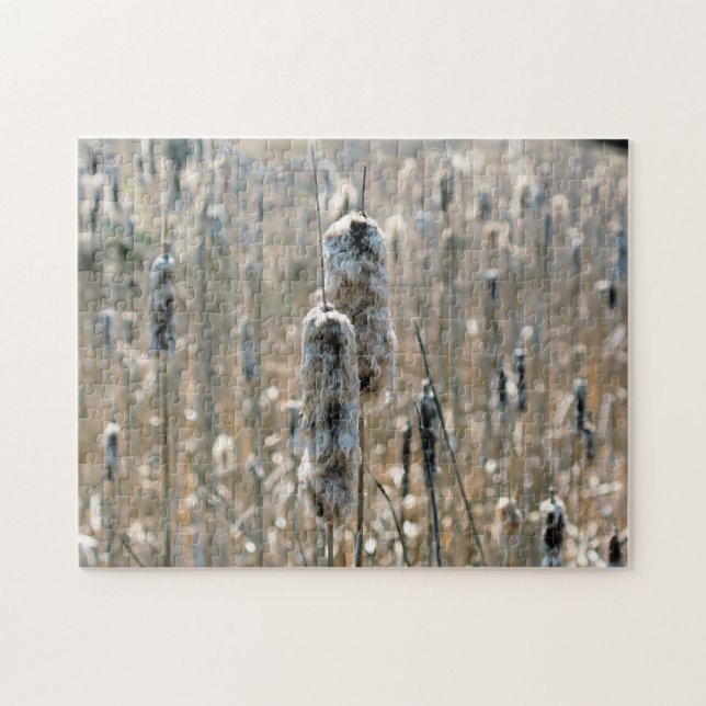 Puzzle Fluffy Cattails En La Naturaleza De Primavera (Horizontal)